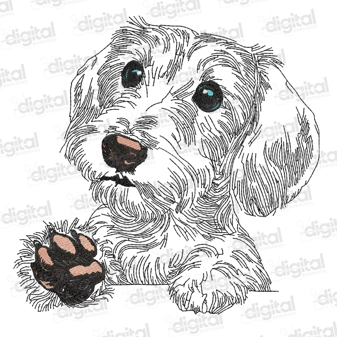 Matriz Bordado Cão Dachshund