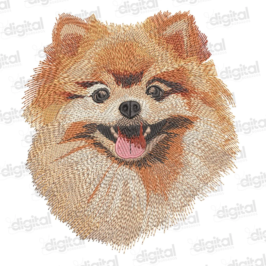 Matriz Bordado Cão Lulu da Pomerânia
