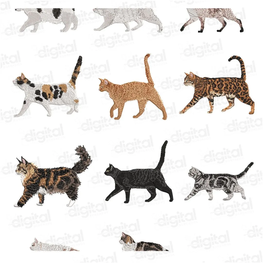 Matriz Bordado Coleção de Gatinhos 3