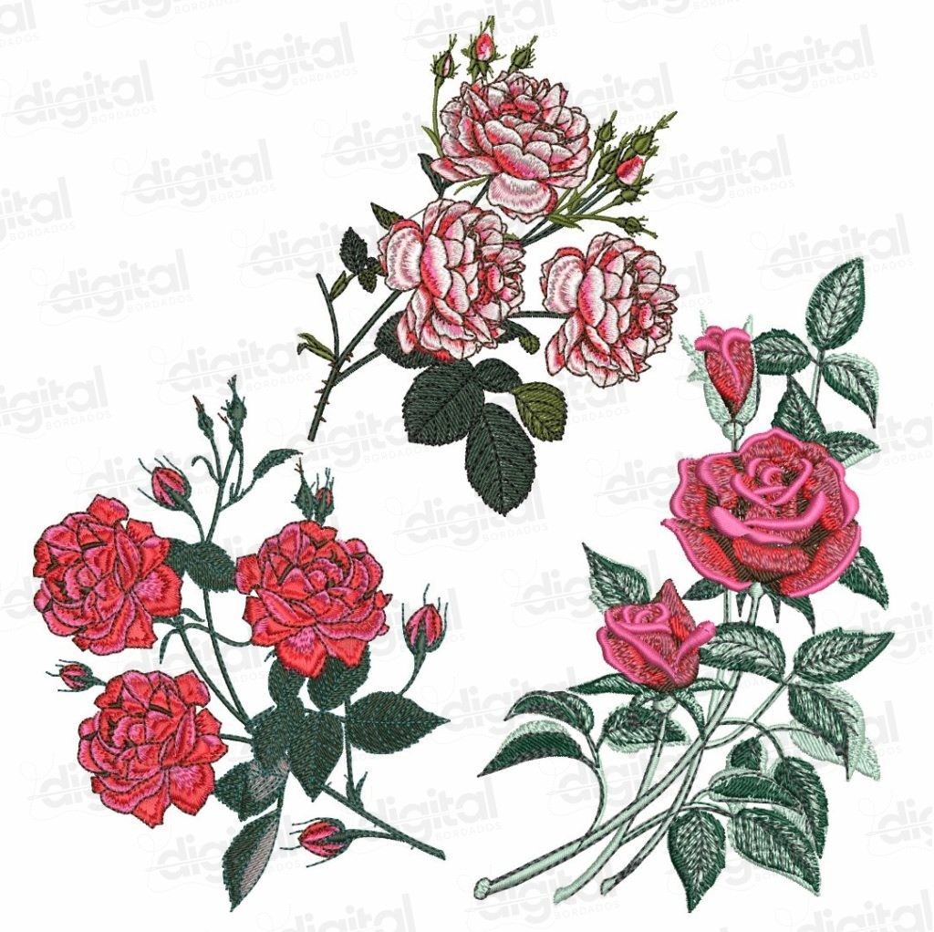 bordados-matrizes-rosas