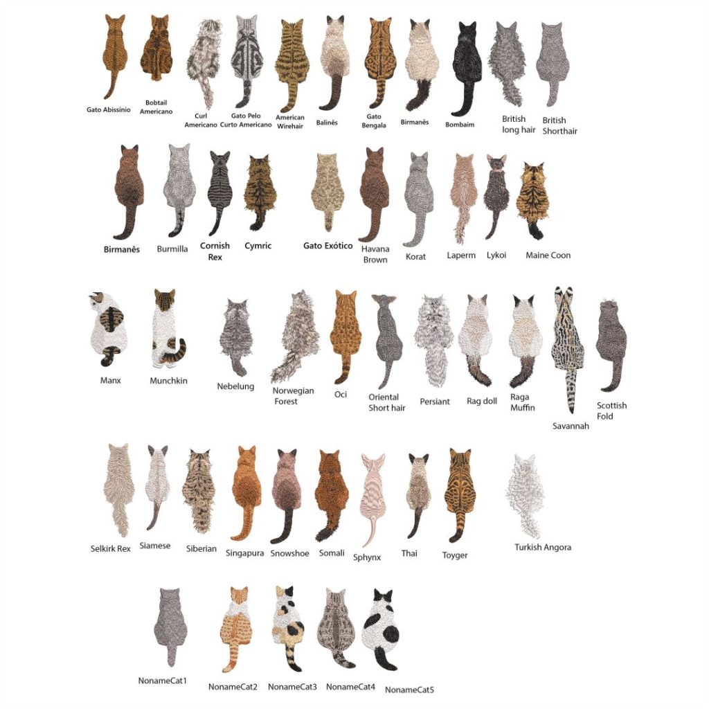 Encante seus projetos com a beleza e personalidade dos felinos mais amados do mundo! Esta matriz de bordado gatos de raça foi criada para destacar os traços únicos de raças como Persa, Siamês, Maine Coon, Bengal e outras, com riqueza de detalhes e realismo impressionante. Ideal para quem ama gatos e deseja bordar com estilo e precisão.